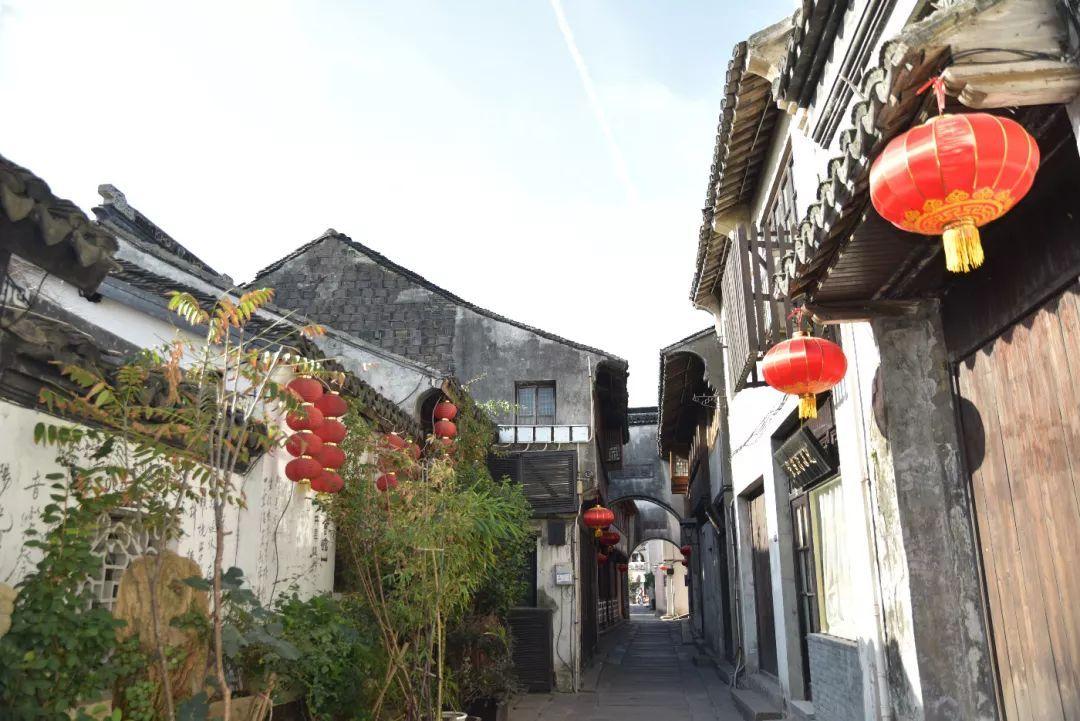 贪吃鼠吃豆豆
